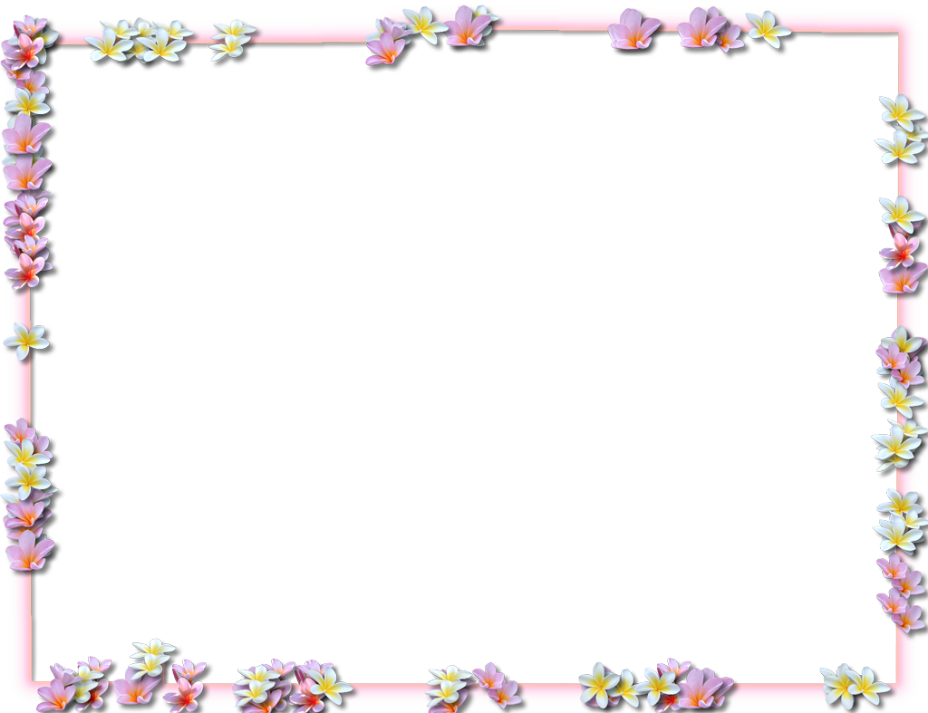 Download Flowers Borders Png Pic HQ PNG Image in different resolution