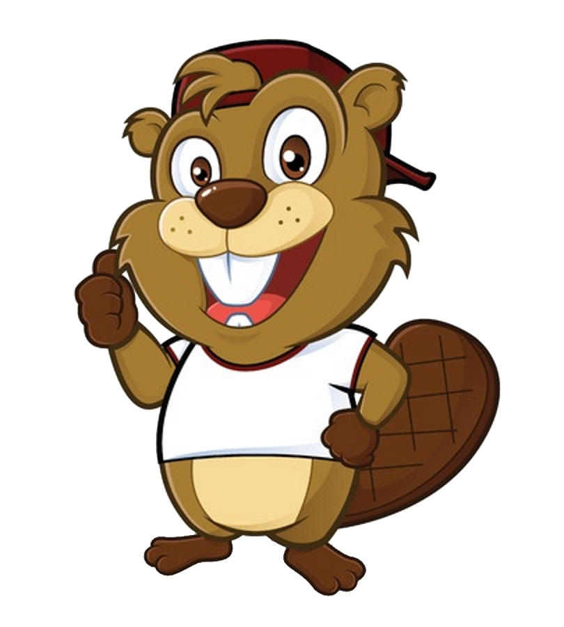 Beaver Transparent Picture PNG Image