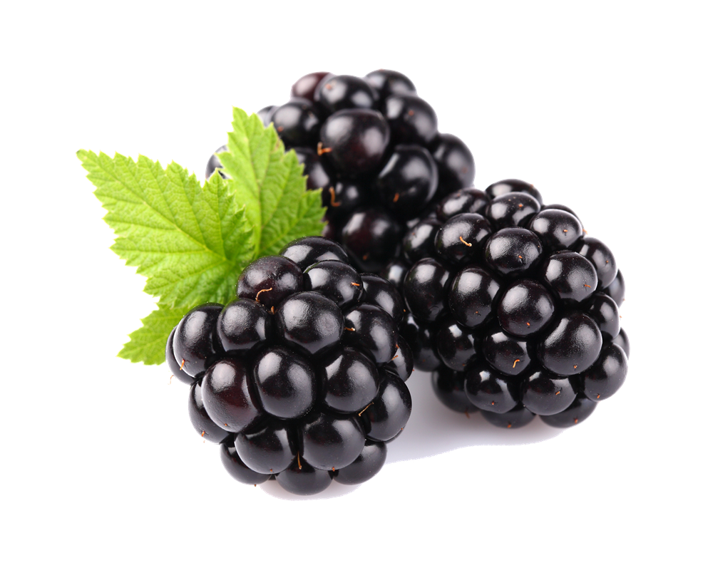 Blackberry Fruit Free Download Png PNG Image