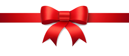 Bow Png Image PNG Image