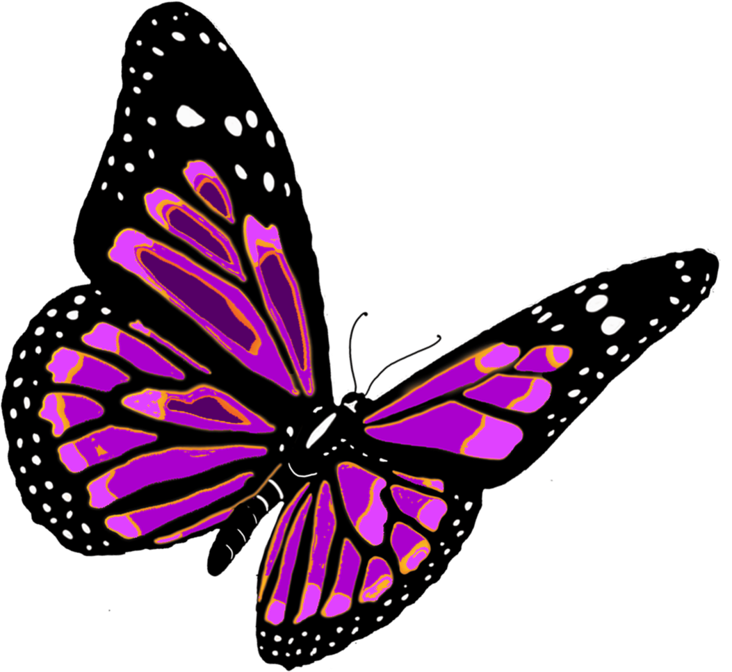 Pink Butterfly Download HD PNG Image