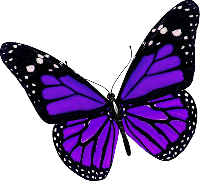 Purple Butterfly Png Image PNG Image