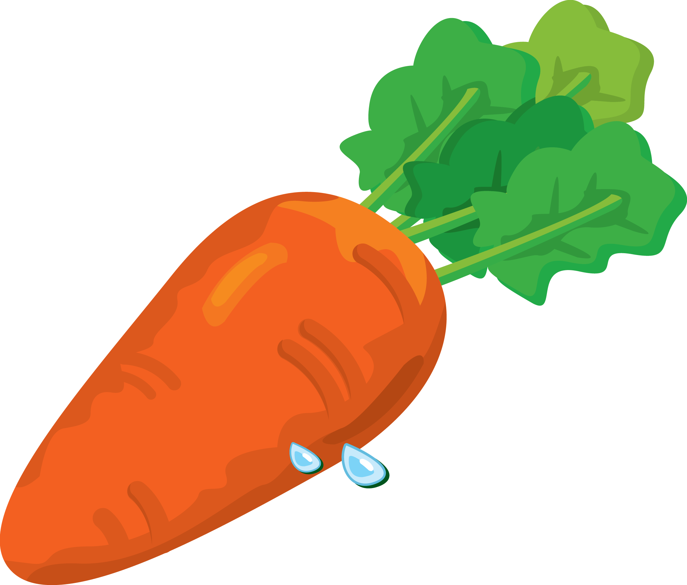 Carrot Png Image PNG Image