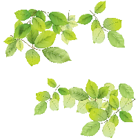 Green Leaves Image