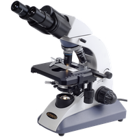 Microscope Image