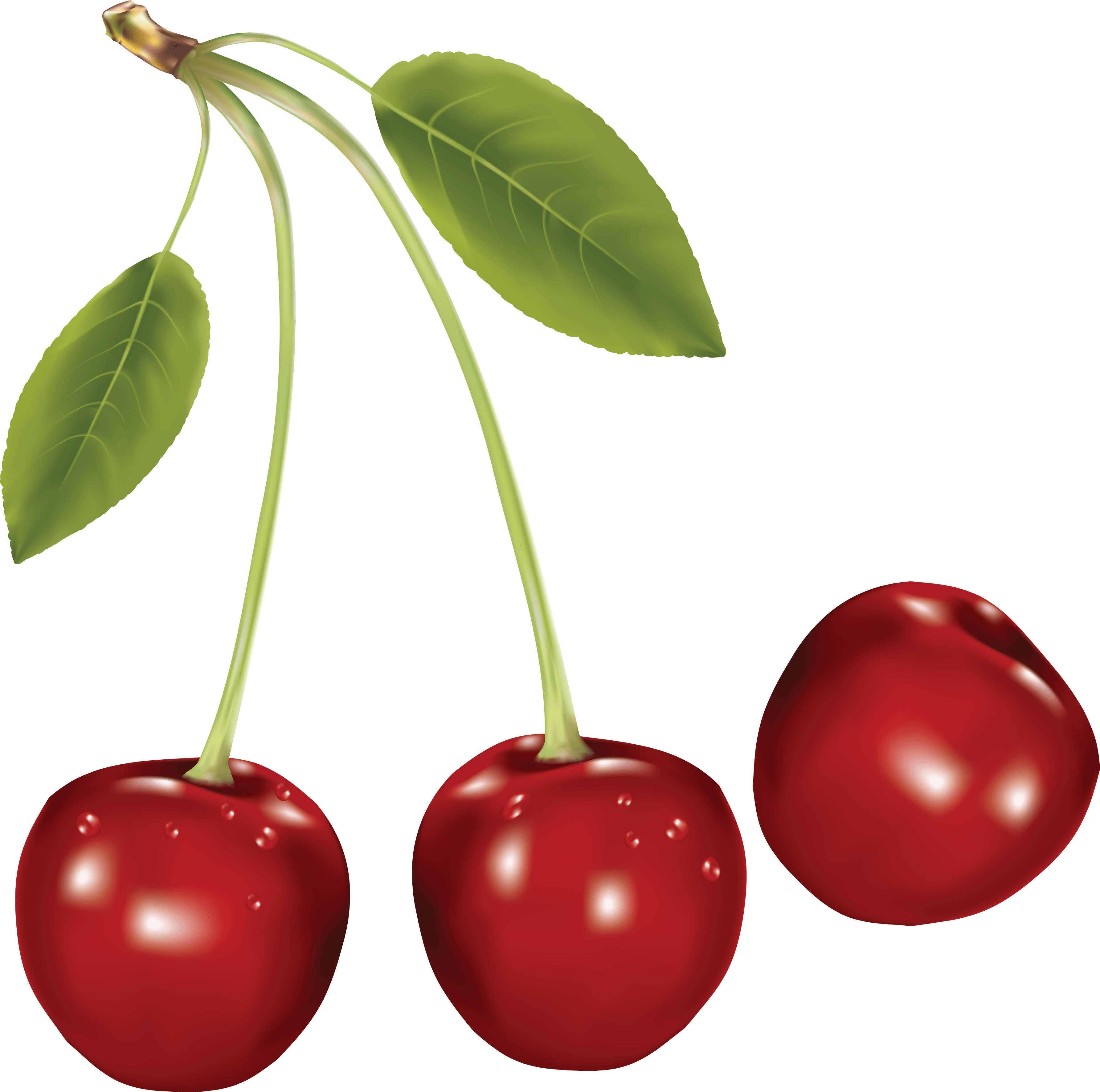 Cherries Png Image PNG Image