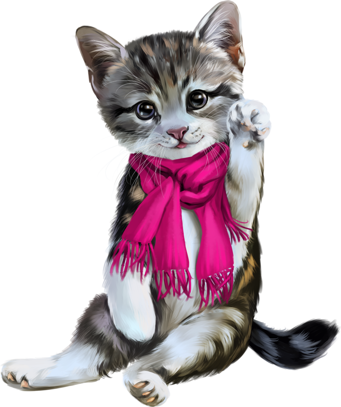 Christmas Cat PNG Image High Quality PNG Image