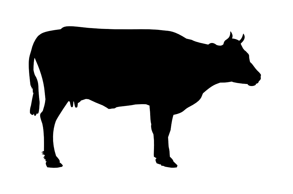 Black Cow Png Siluete PNG Image