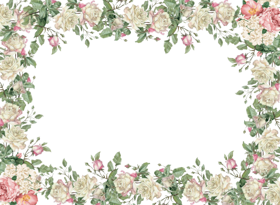 White Flower Frame Transparent Image PNG Image