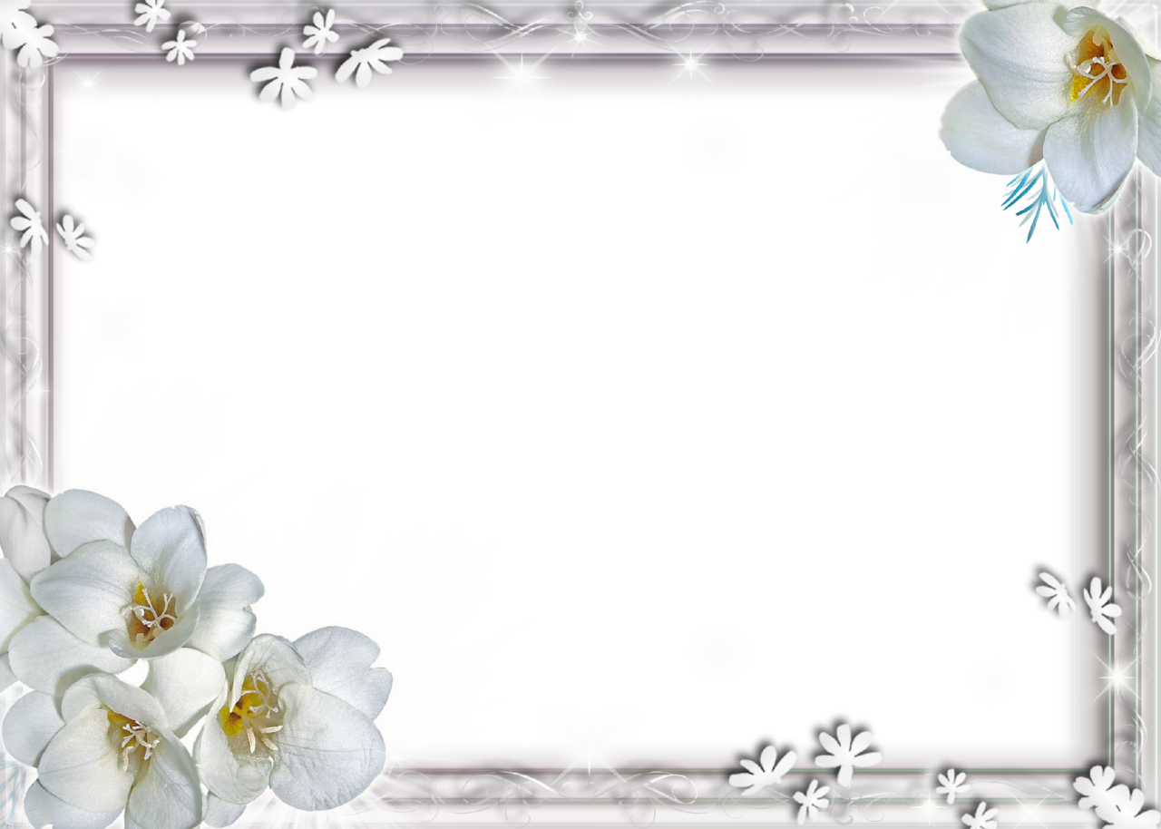 White Flower Frame File PNG Image