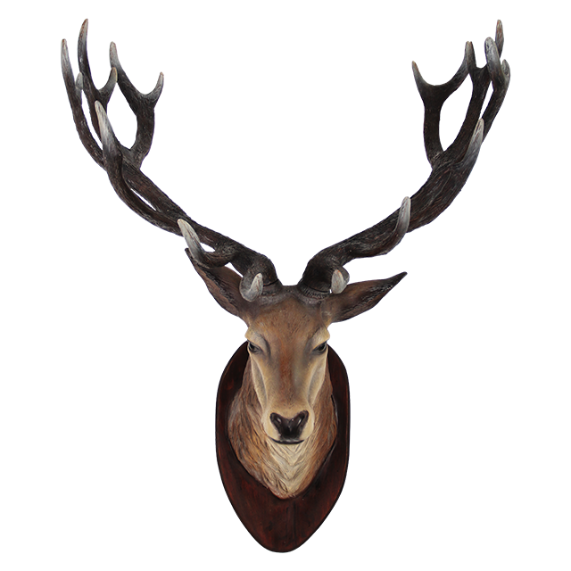 Deer Head Transparent PNG Image
