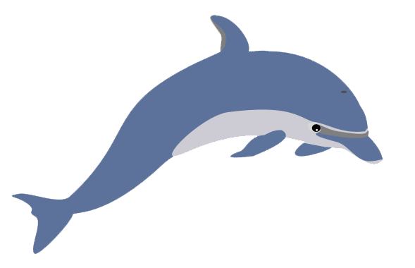 Dolphin Png Picture PNG Image