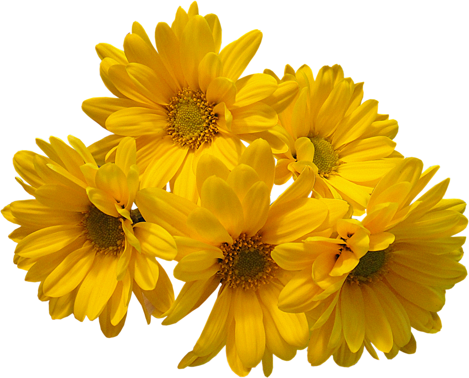Yellow Flowers Bouquet Transparent Image PNG Image