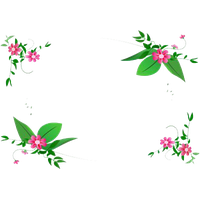 Download Flowers Borders Free PNG photo images and clipart | FreePNGImg
