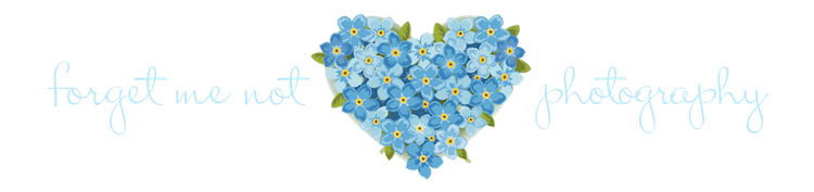 Forget Me Not Photo PNG Image