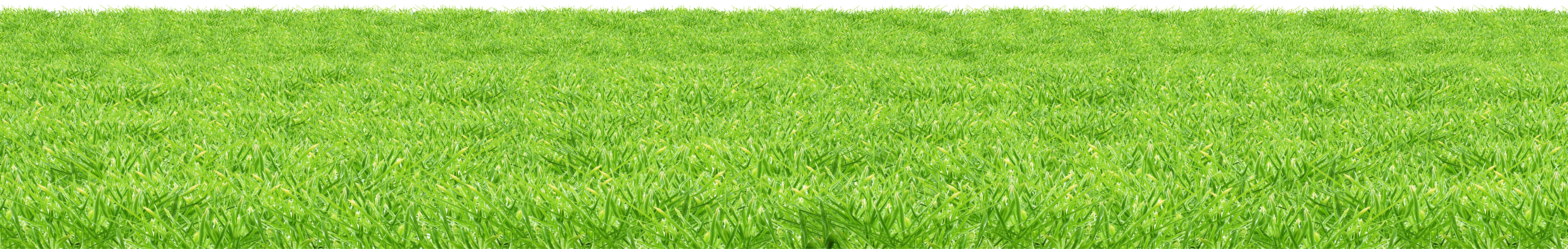 Grass Png Image Green Grass Png Picture PNG Image
