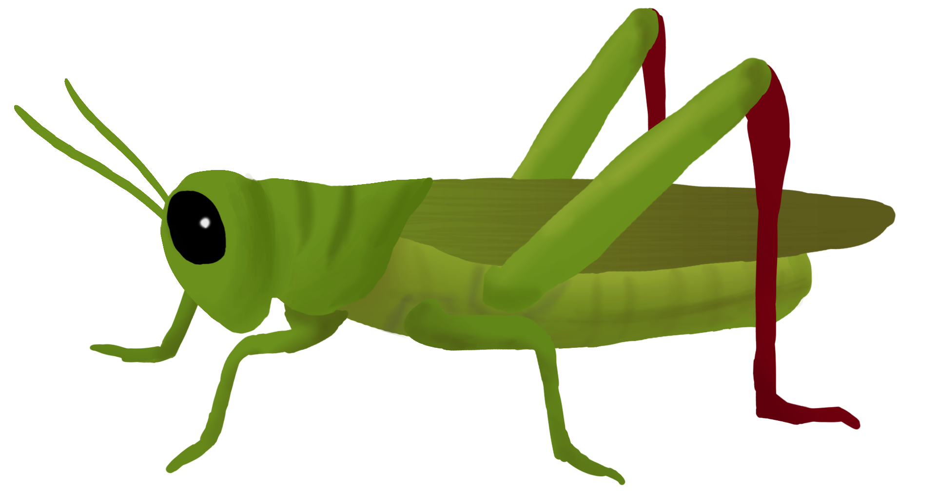 Grasshopper Clipart PNG Image