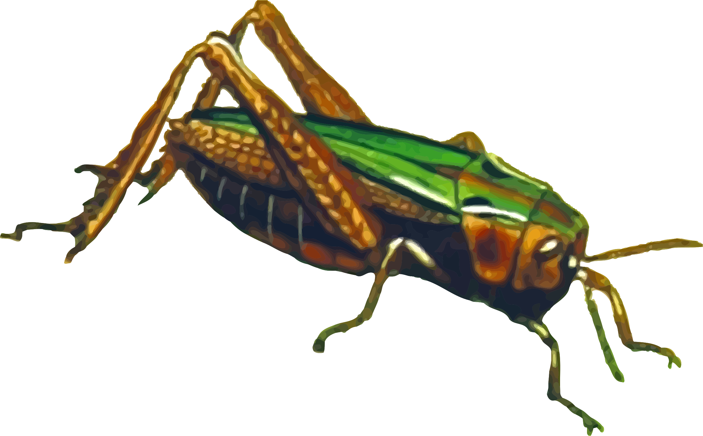 Grasshopper File PNG Image