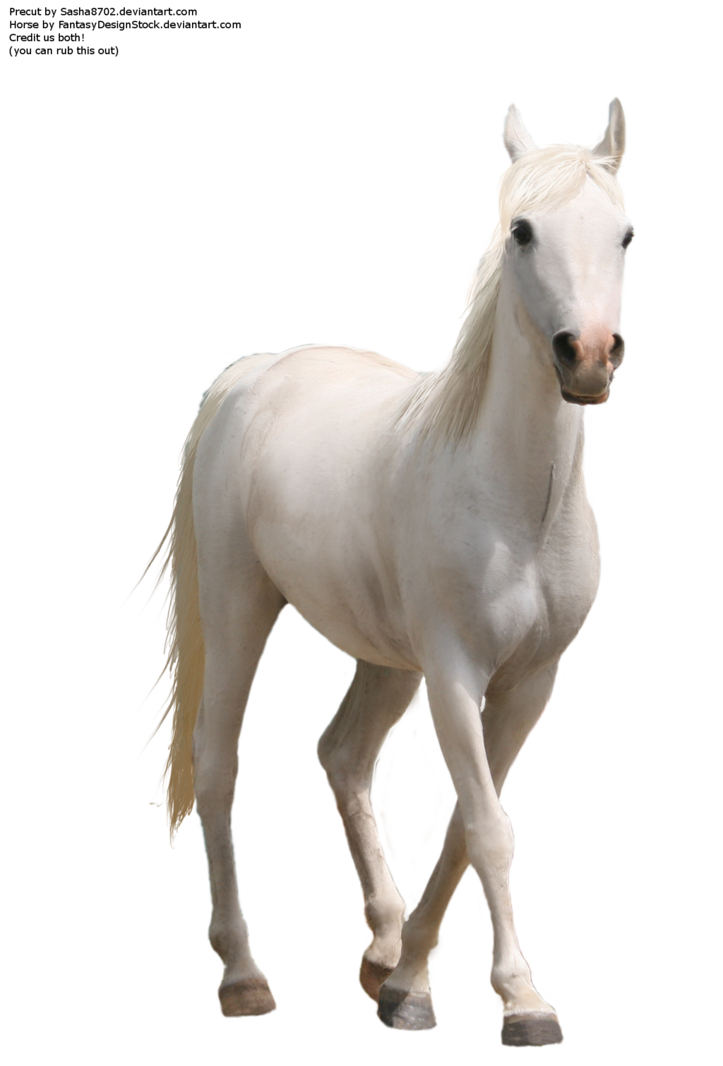 Horse Png 7 PNG Image