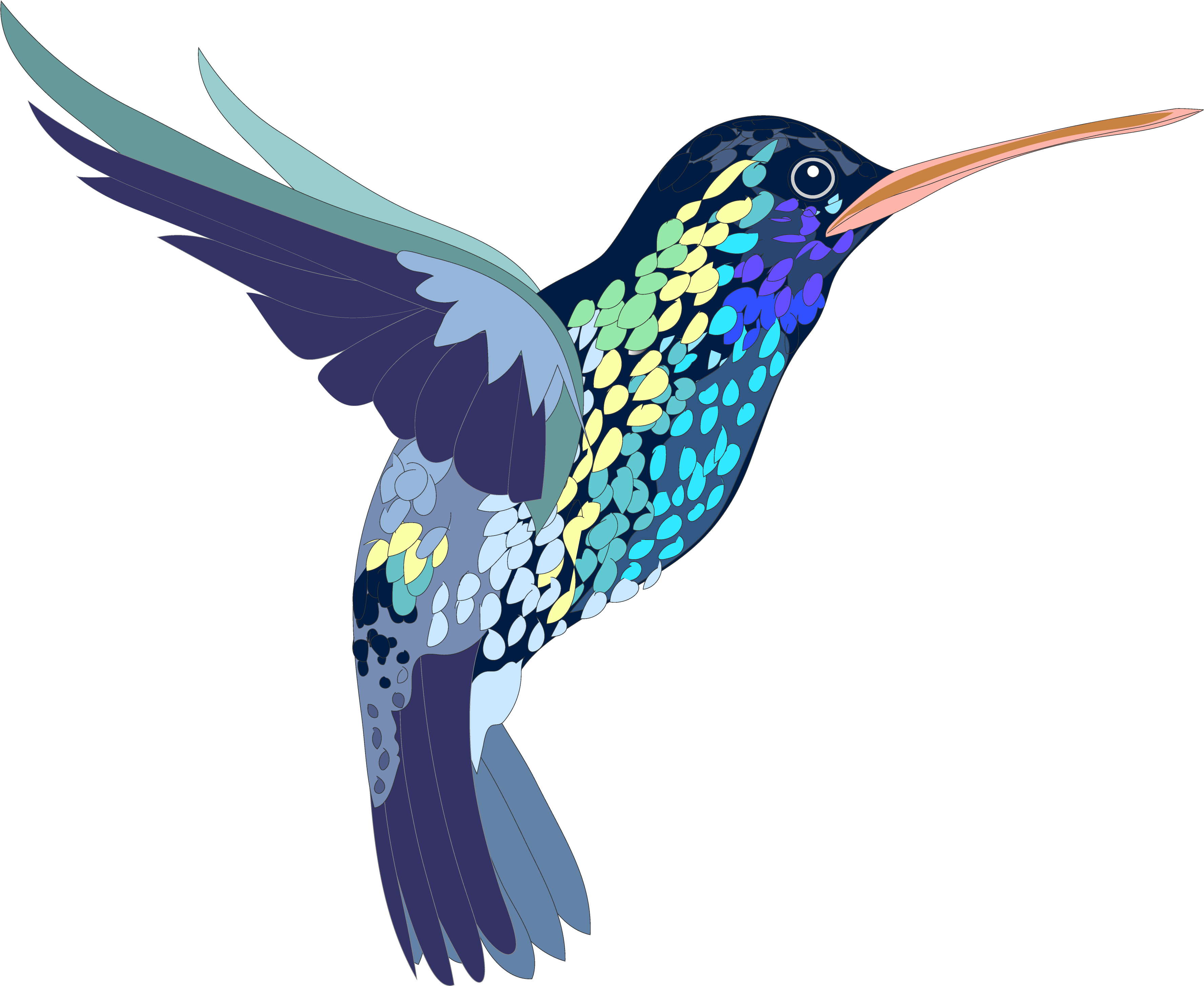 Watercolor Photos Vector Hummingbird Free HQ Image PNG Image