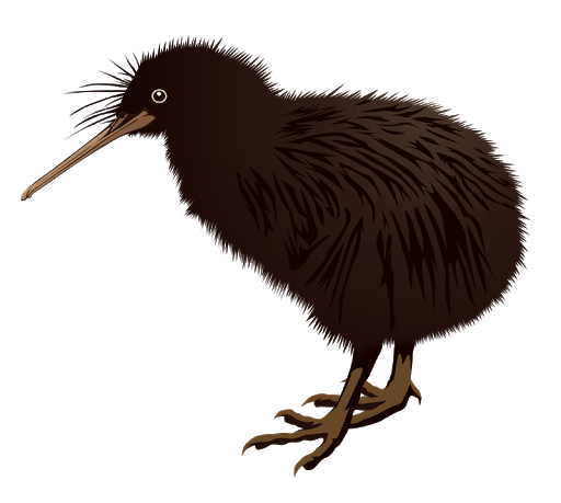 Wild Kiwi Bird HD Image Free PNG Image