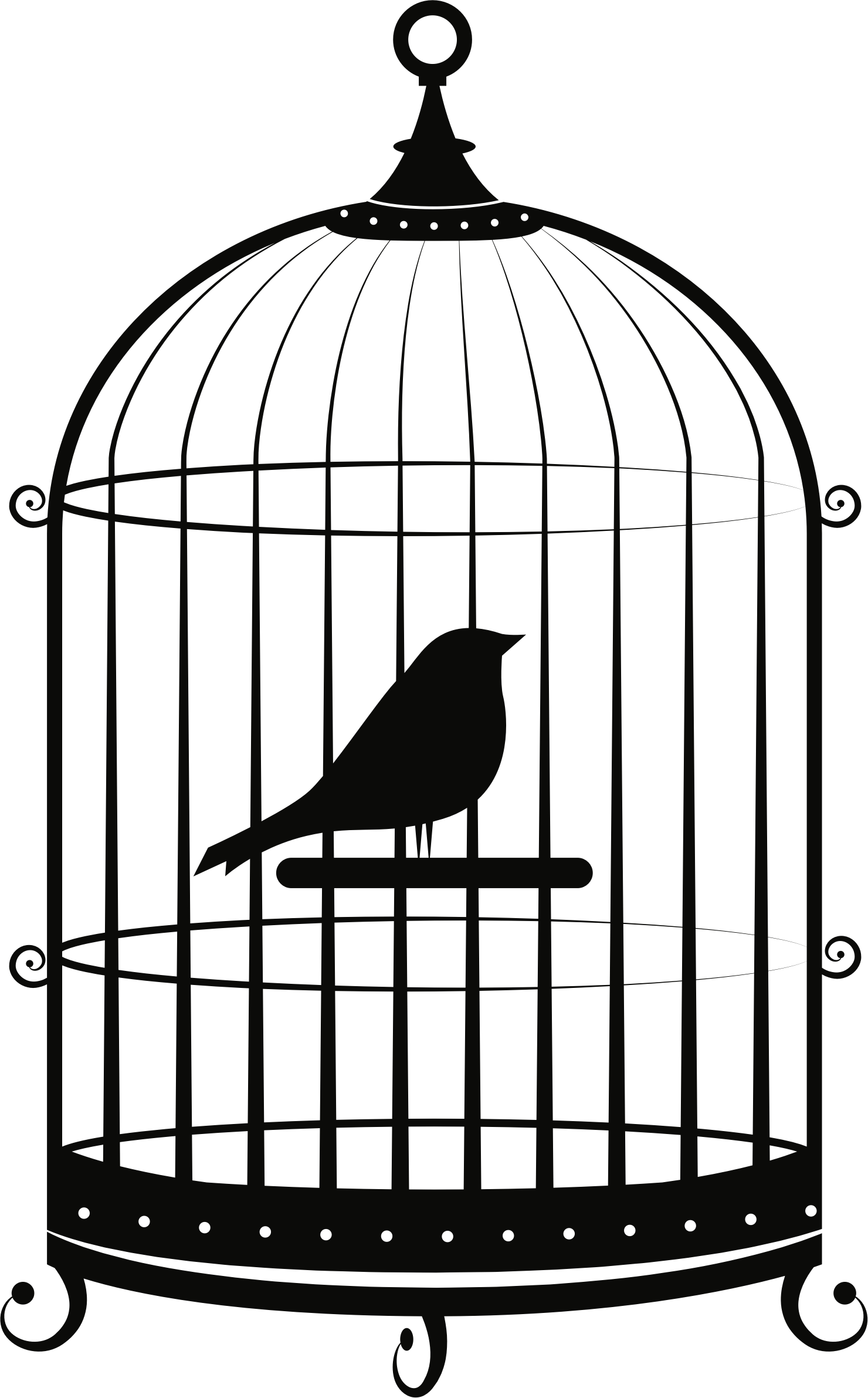 Cage Image PNG Image High Quality PNG Image