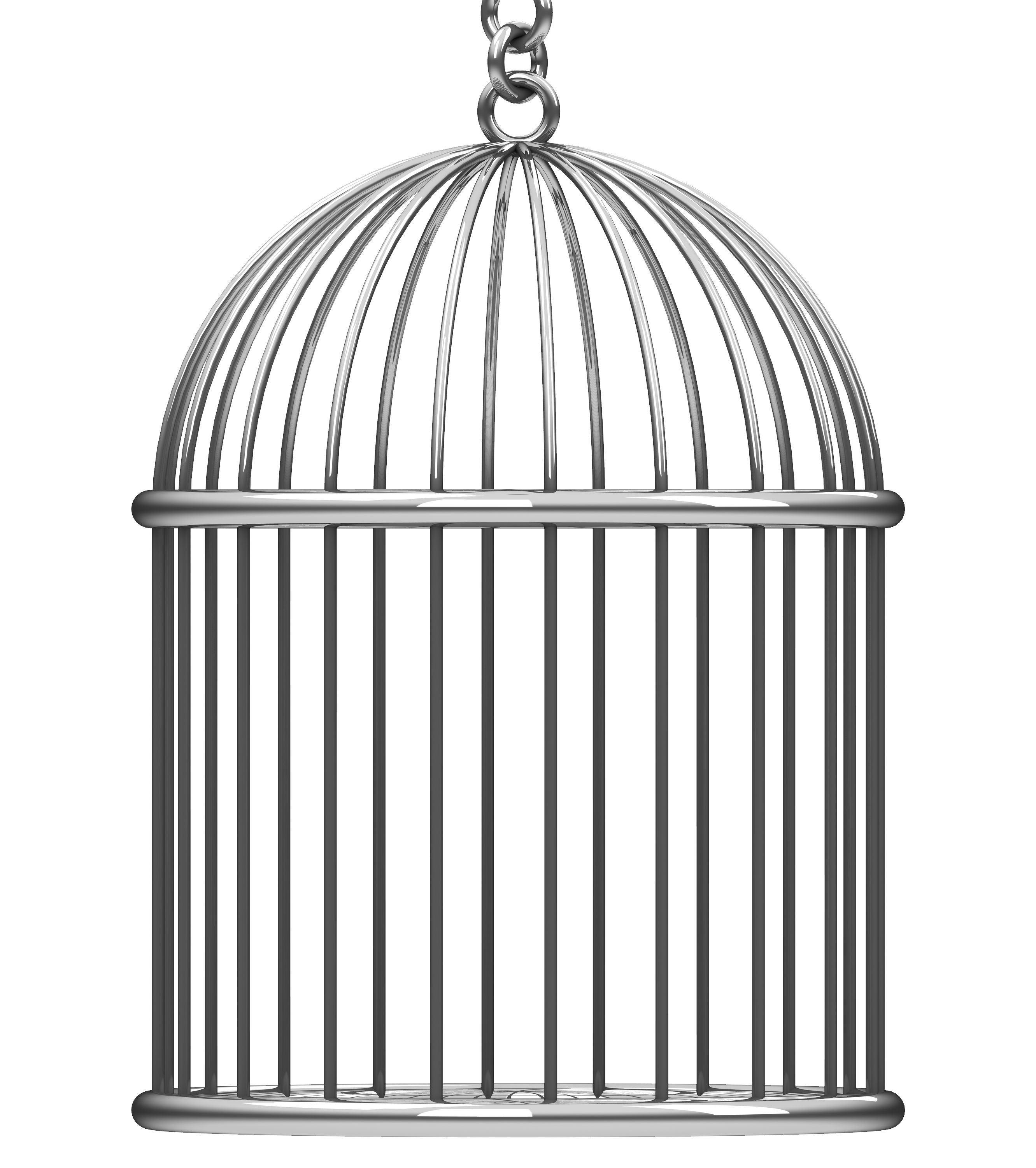 Cage Free PNG HQ PNG Image