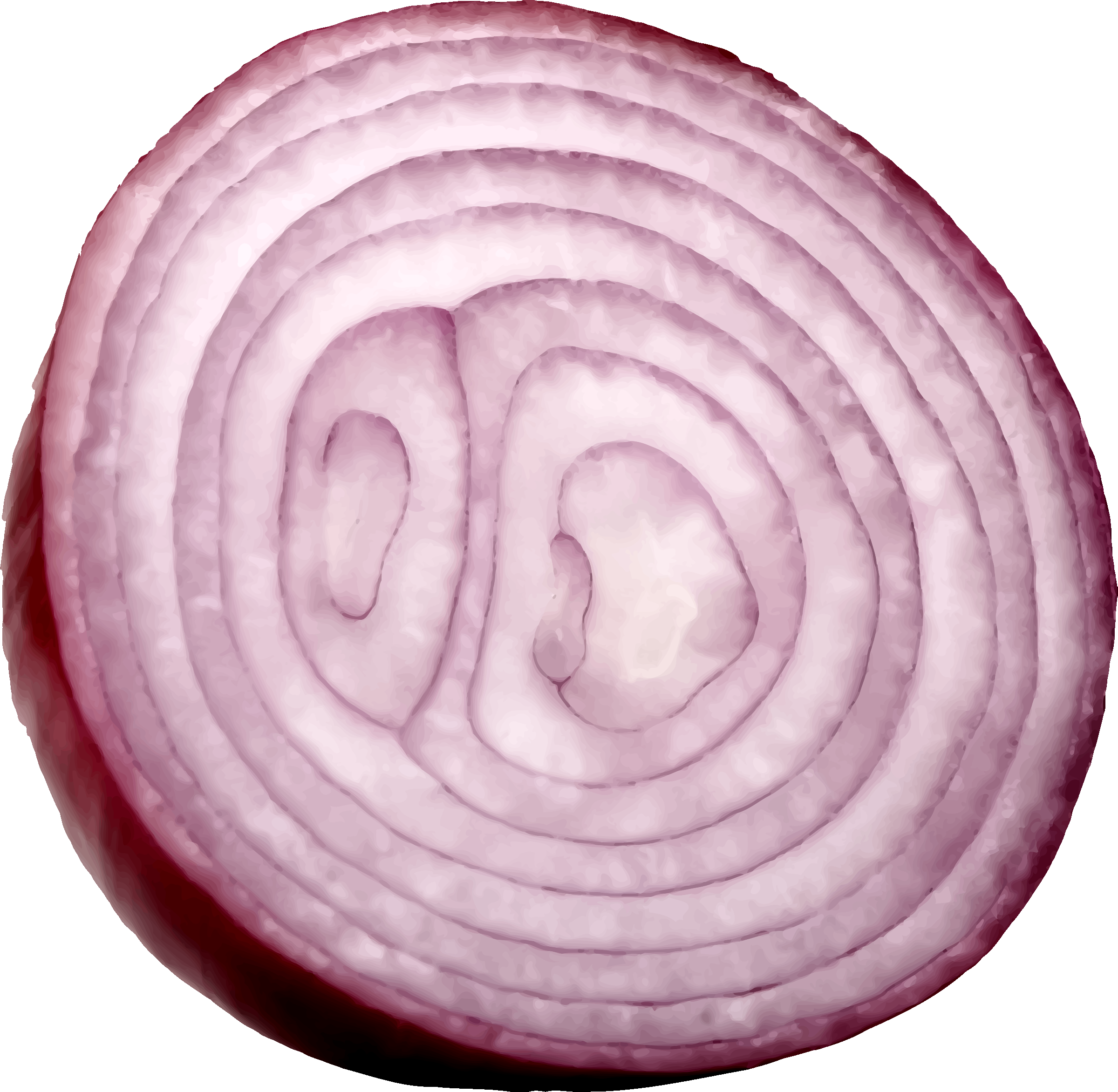 Slice Onion Free HD Image PNG Image
