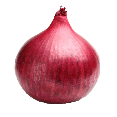 Red Onion File PNG Image