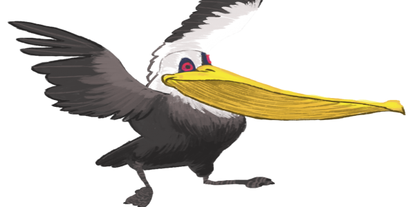 Pelican Png Hd PNG Image