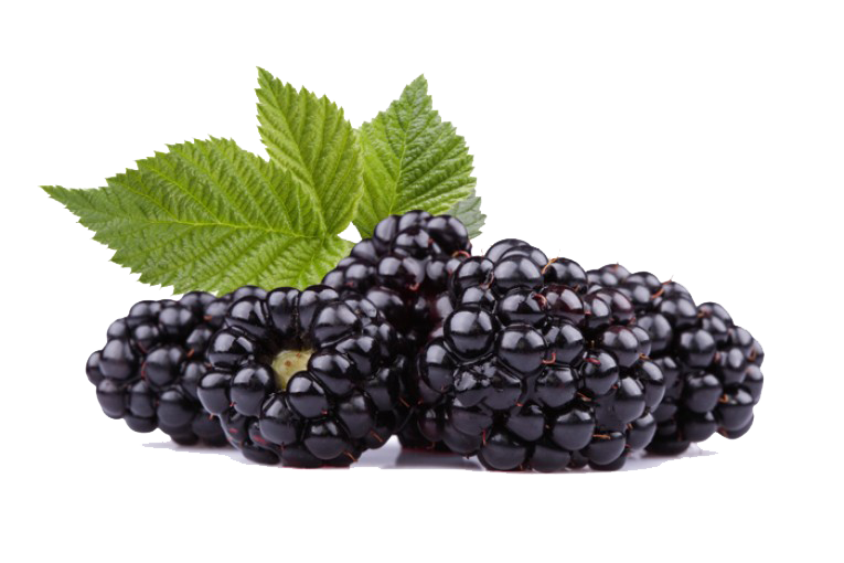 Black Raspberries Hd PNG Image