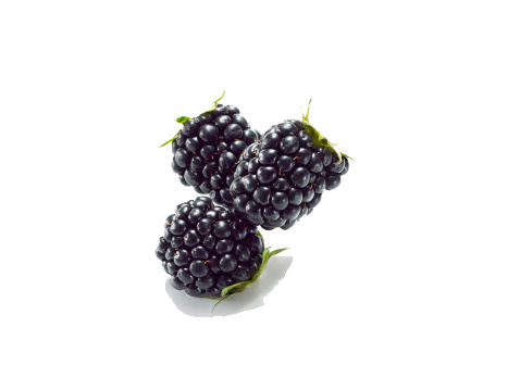 Black Raspberries Image PNG Image