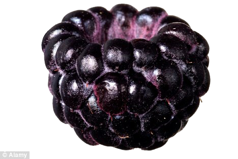 Black Raspberries Transparent PNG Image