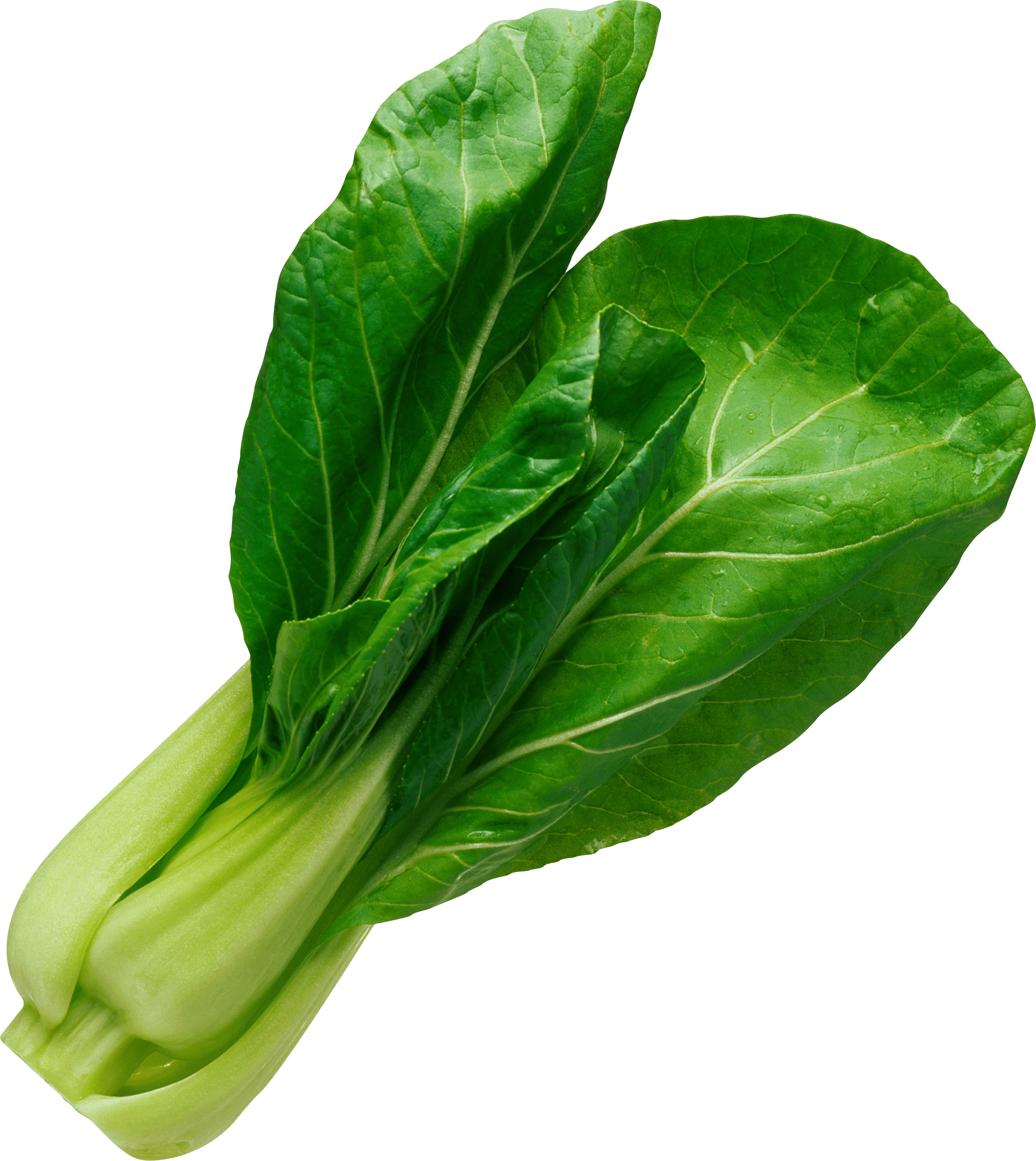 Salad Leaf Png Image PNG Image
