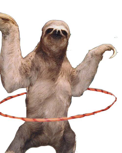 Sloth Png Hd PNG Image