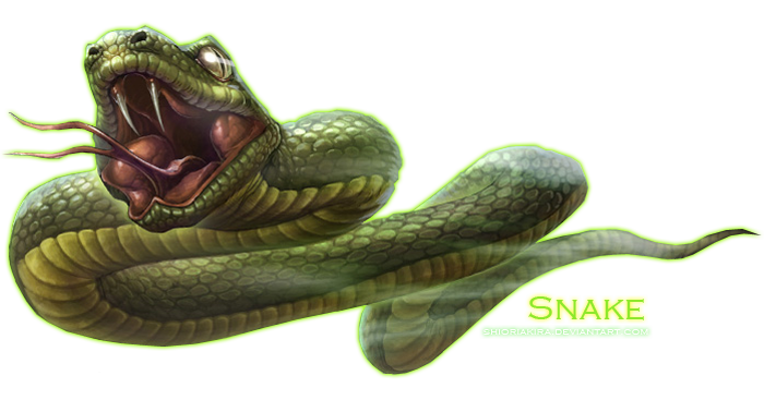 Green Snake Transparent PNG Image