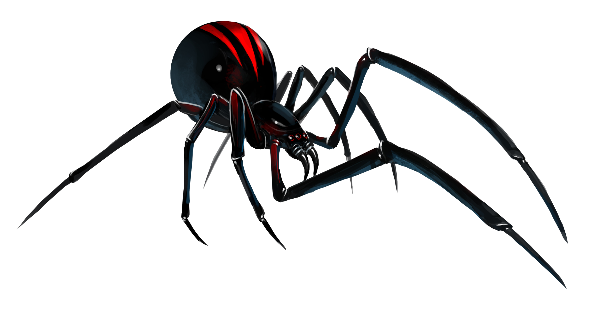 Black Widow Spider File PNG Image
