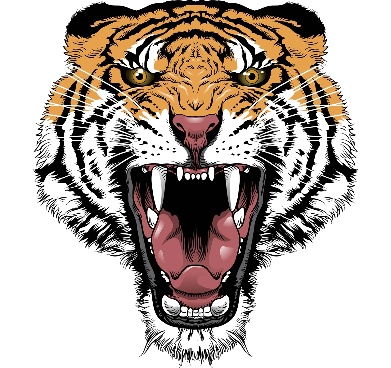 Tiger Face Transparent PNG Image