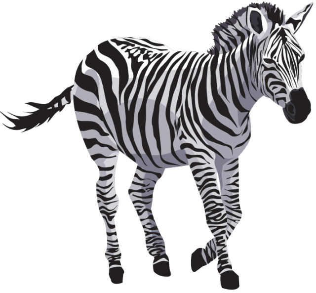 Zebra File PNG Image