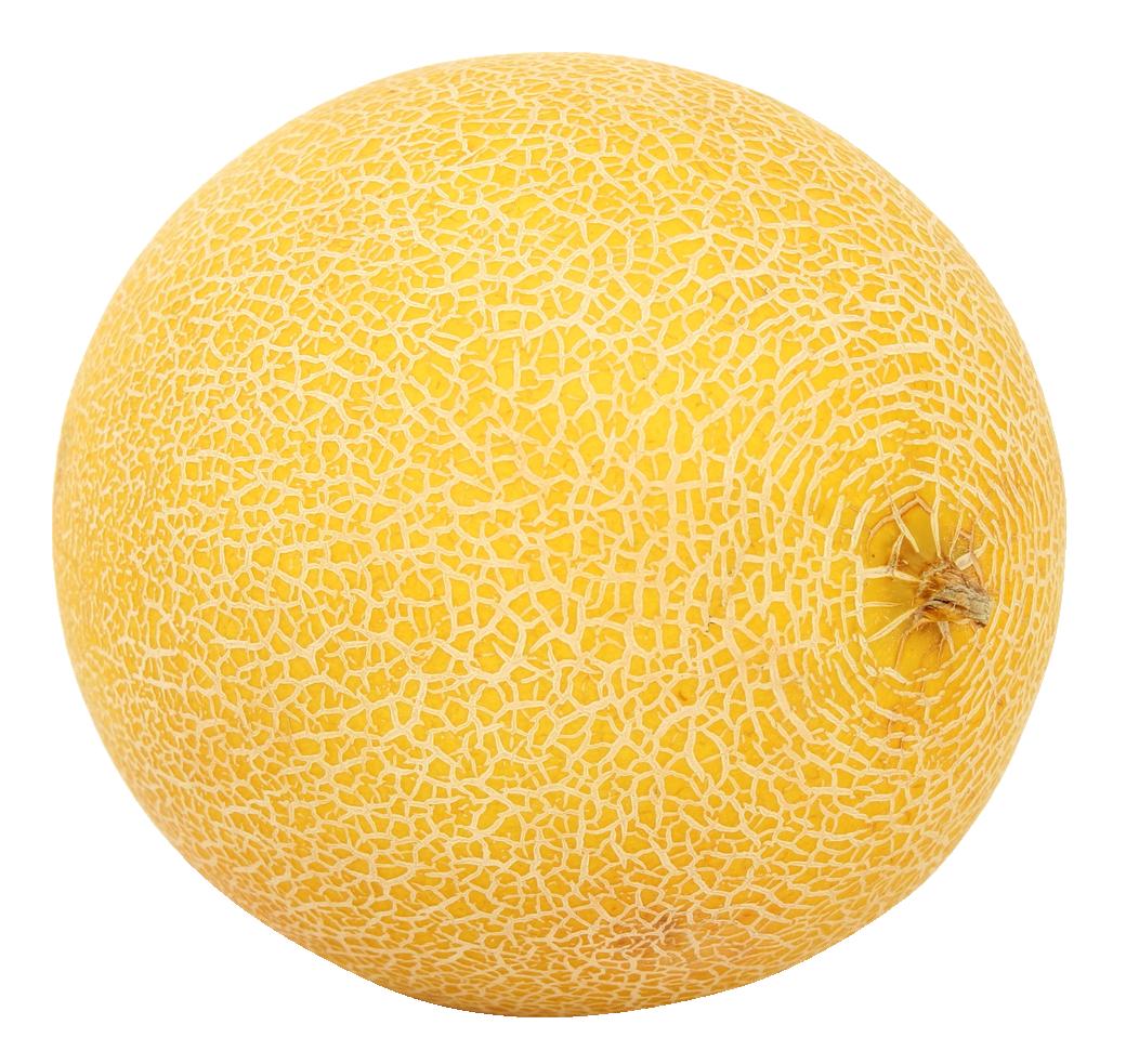 clipart cantaloupe