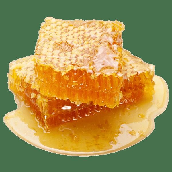 Honeycomb Photos, Download The BEST Free Honeycomb Stock Photos & HD Images