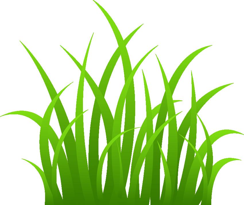 grass vector