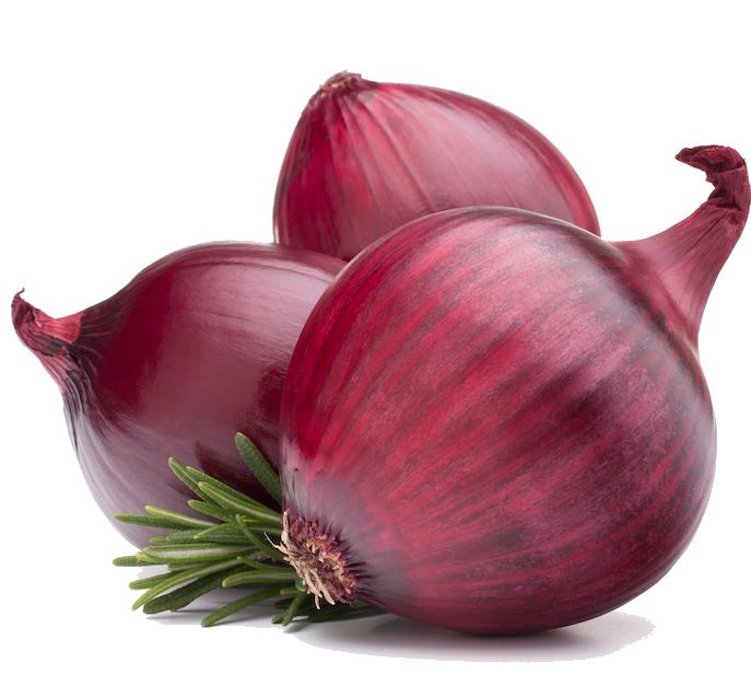 onion png