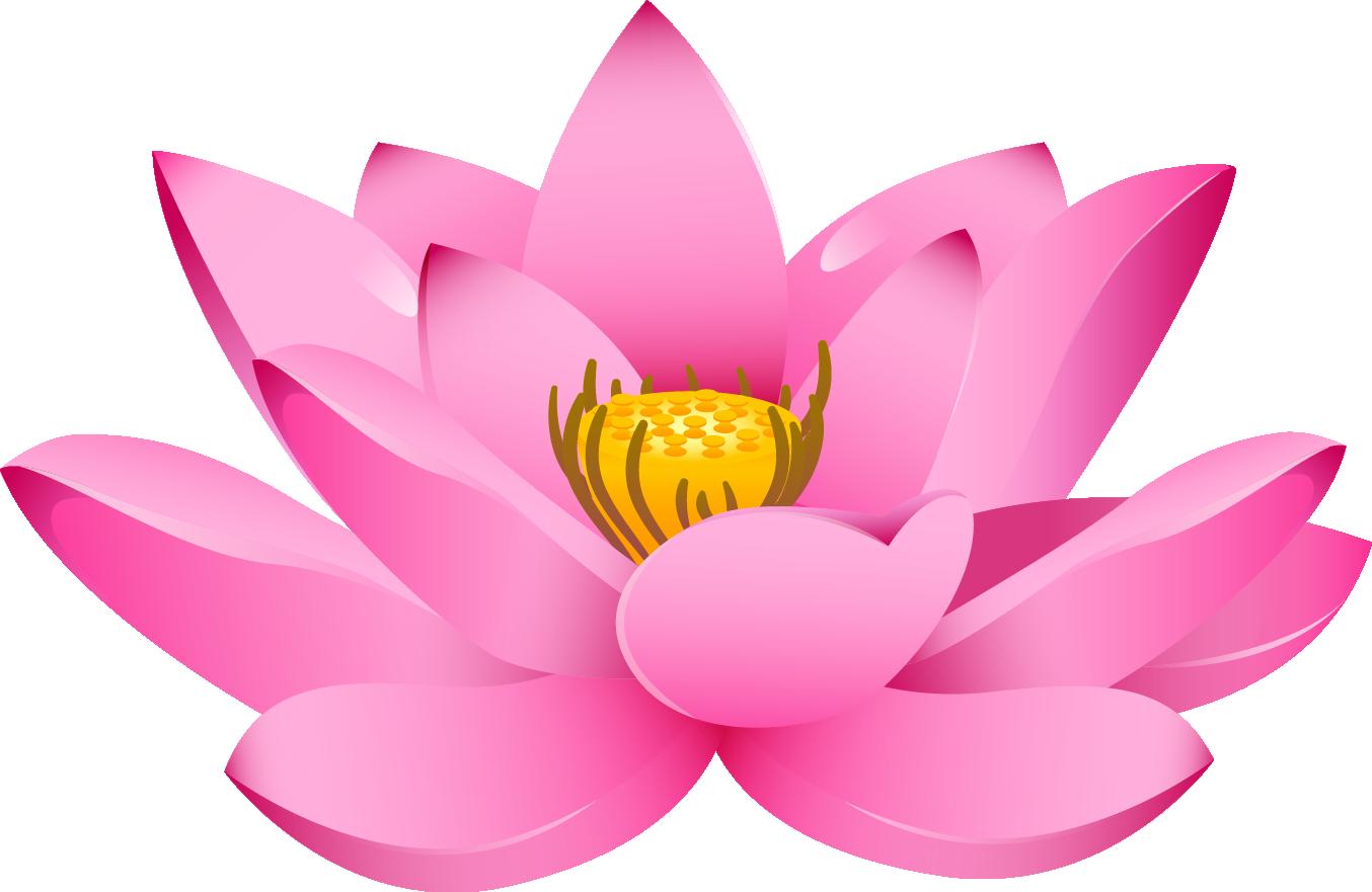 pink lotus flower clip art