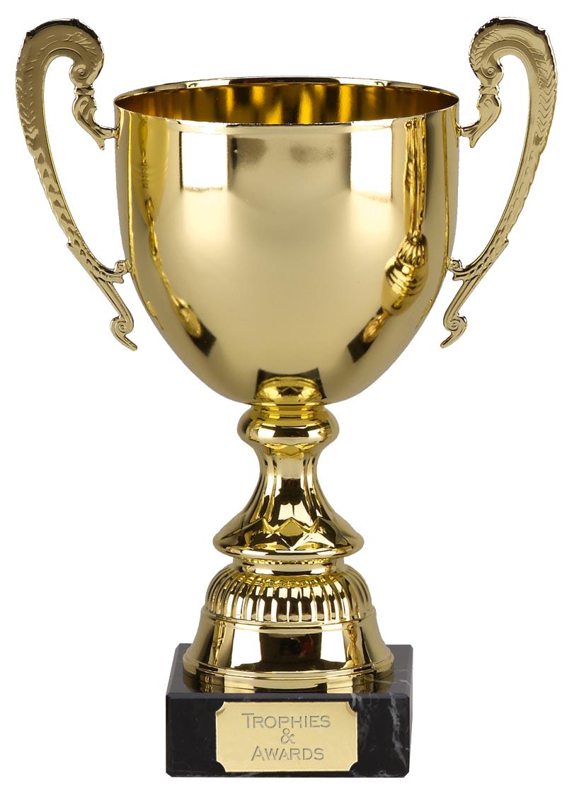 trophy transparent png