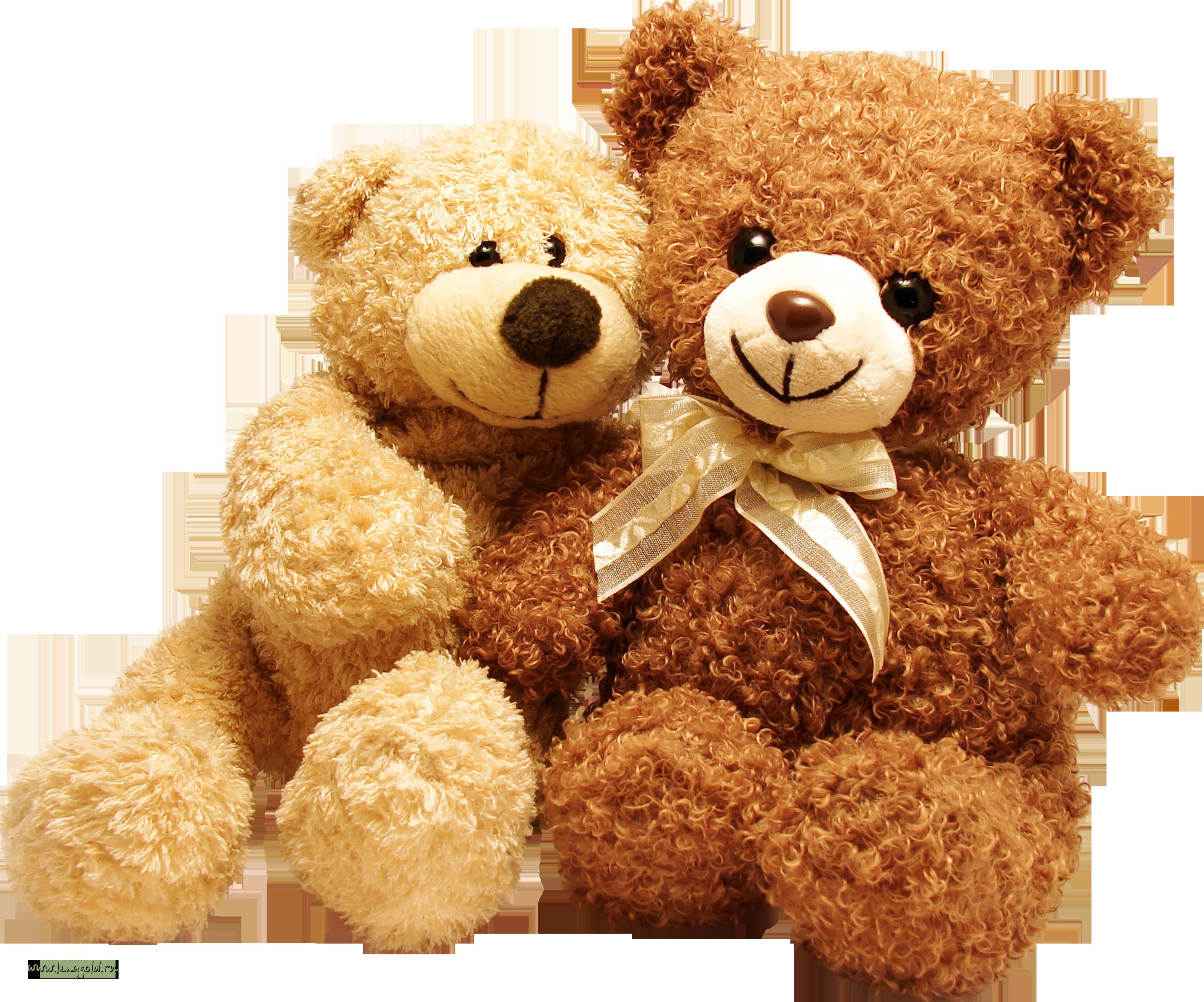 Teddy bear png store hd