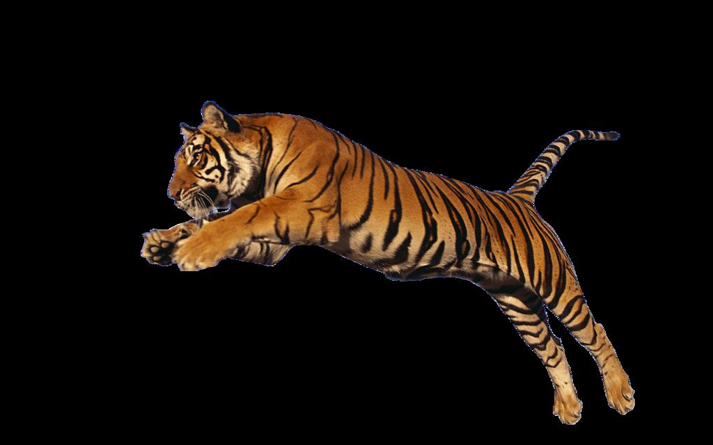 jumping tiger png