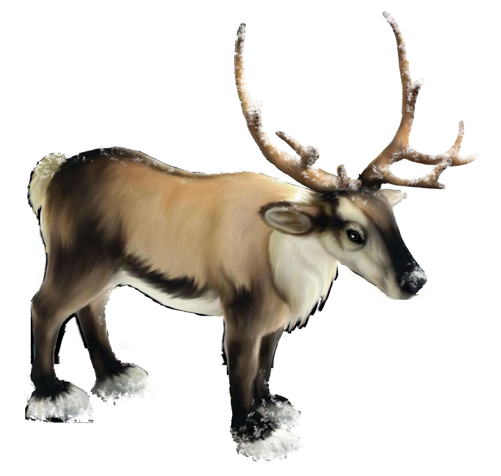 clipart reindeer