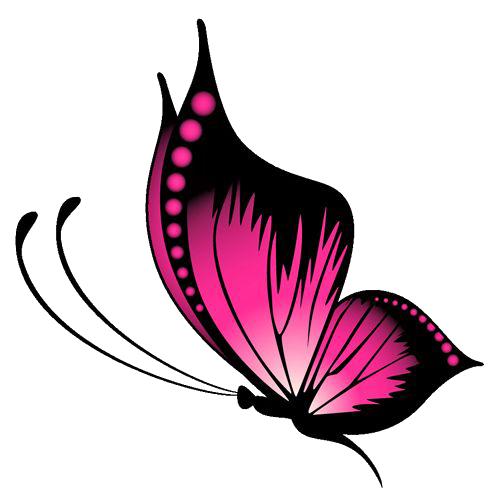 flying pink butterfly