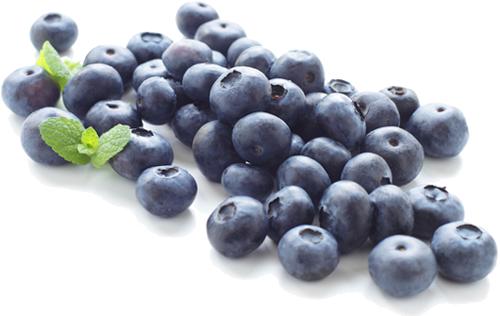 blueberries clipart